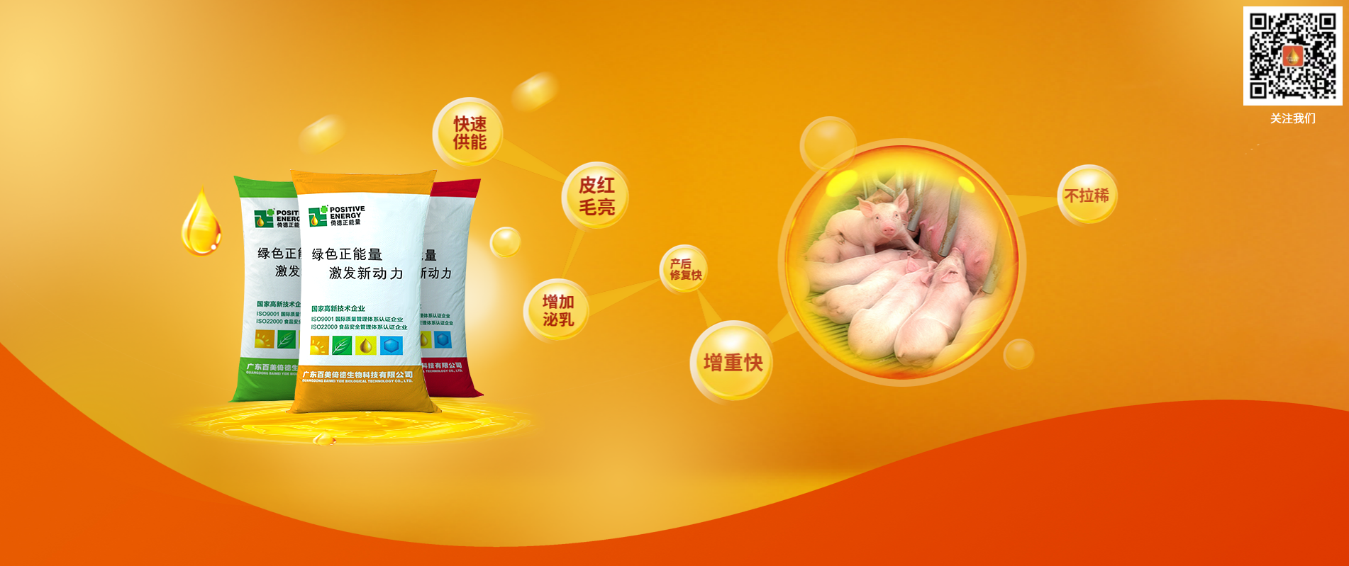 【恭喜】廣東百美倚德生物科技有限公司成功開通PC網(wǎng)站！