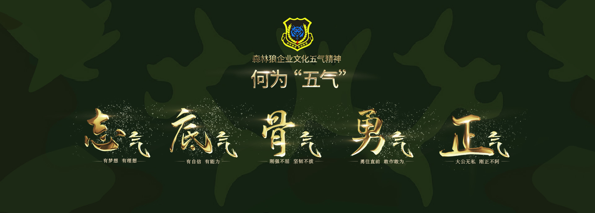 【恭喜】東莞市森林狼拓展有限公司成功開通PC網(wǎng)站！